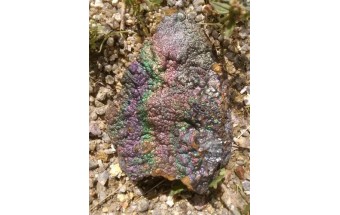 Effect of activated LEKLAI stone